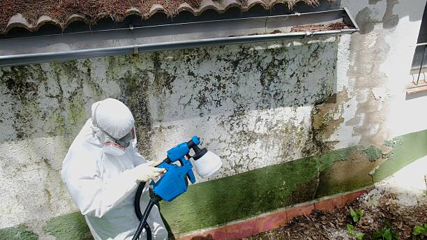 Top rated local Attic Mold Remediation specialists in Lottsburg, VA